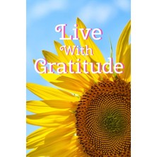 TeknoKapsül Independently Published Live With Gratitude | A Daily Gratitude Journal For Women | Gratitude Journal For Girls | Daily Gratitude Journal For Kids