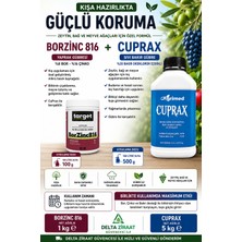 Target Borzinc 816 %8 Bor %16 Çinko 1 kg + Cuprax %20 Bakır Oksiklorür 5 kg | Zeytin, Bağ ve Meyve Ağaçları Için Kış Uygulama Seti