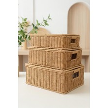 TeknoKapsül Digithome 3'lü Kapaklı Hasır Rattan Organizer Sepet - BB6065