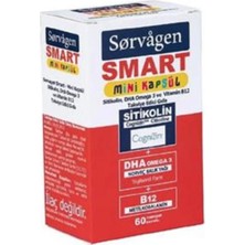 Sorvagen Smart Mini Sitikolin Dha Omega-3 ve B12 60 Kapsül