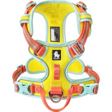 True Love Alüminyum D-Halkalı, Cordura Kumaşlı, Sarı-Turuncu Göğüs Tasması