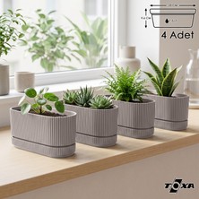 ToXA 4 Adet Pera Uzun Saksı Seti No1 1,5 Litre Latte Bej 23CM Plastik Tabaklı Çiçek Bitki Balkon Saksısı