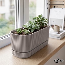 ToXA Pera Uzun Saksı No1 1,5 Litre Latte Bej 23CM Plastik Kaktüs Sukulent Çiçek Bitki Balkon Saksısı
