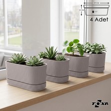 ToXA 4 Adet Pera Uzun Saksı Seti No2 3 Litre Latte Bej 29CM Plastik Tabaklı Çiçek Bitki Balkon Saksısı