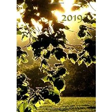 TeknoKapsül My Bıg Fat Calendar 2019 - Leaves In The Sun (Gb & Us) - 1 Day Per Page, Dın A4