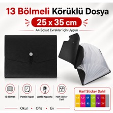 Fly Color 13 Bölmeli Körüklü Sunum Dosya Lastikli