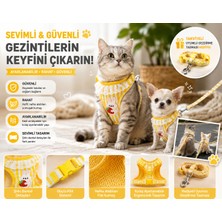 Mianna Ayarlanabilir Kedi Köpek Göğüs Tasması ve Gezdirme Seti – Sevimli Desenli, Konforlu Göğüs Tasması