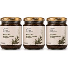 Şifa Ana 3 Adet Kozalak Macunu (240 gr.)