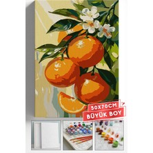 Corvo Sayılarla Boyama Seti Numaralı Tuval Fırça Boya Askı Aparatı Dahil Set 50X70 cm - Portakal Çiçeği