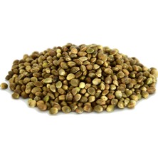 Tohumu 100 gr