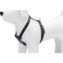 Ayrex Karlie Basıc Göğüs Tasma M 45-70CM Siyah