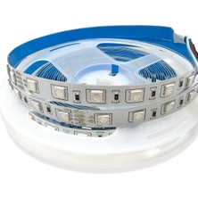 Ayrex Rgb LED Şerit Bant 5 Metre 24V 5050 Smd 60 Led/m IP20 Iç Mekan Aydınlatma