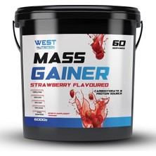 Ayrex Mass Gainer Karbonhidrat Tozu 6000 gr Çilek Aromalı