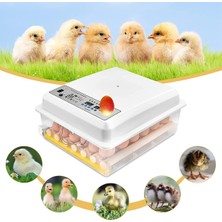 Ayrex Yumurta Brooder, 36 Yumurta Otomatik Turner Sıcaklık Kontrolü Yumurta Yetiştiricisi Kuluç