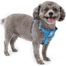 Ayrex Köpek Koşum Takımı | Evcil Hayvan Yürüyüş Koşumu | No Pull Harness Ön Klips Fonksiyo