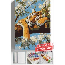 Corvo Sayılarla Boyama Seti Numaralı Tuval Fırça Boya Askı Aparatı Dahil Set 50X70 cm - Uyuyan Kaplan