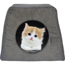 Ayrex 3 Fonksiyonlu Katlanır Kedi Yatağı ve Evi - Alaska/eskimo Tarzı Mağara (Gri, Düz)