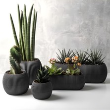 Ayrex Mercan Saksı Set Dekoratif Drenajlı Çizgili Mat (5 Parça, Gri)