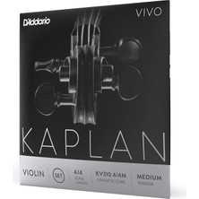 D'addario KV310 4/4m Kaplan Vivo Keman Teli