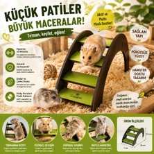 Zampa Hamster Ahşap Köprü Merdiven Oyuncağı – Tırmanma ve Aktivite Eğlencesi