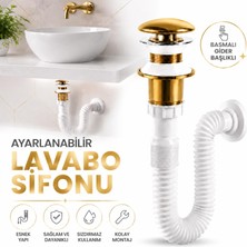 Nzb Popup Seramik Bas Aç Lavabo Sifonu Gider Körüklü Boru Koku Önleyici Zamak Somunlu Sifon Seti Gold Renk