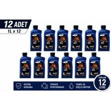 Elf Moto 4 Road 10W40 Motosiklet Yağı 12X1L 4 Zamanlı Motosikletler için Özel Formül - Günlük Kullanım ve Uzun Yol Sürüşleri için İdeal - Yüksek Performanslı Motor Koruması - 12'li Avantajlı Paket