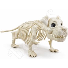 BeySüS Cadılar Bayramı Korku Temalı İskelet Köpek Figürü 44cm