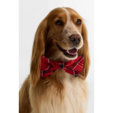 Barbour Tartan Köpek Papyonu TN94 Cardinal Tartan