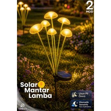 Edewatt Dekoratif Mantar Görünümlü 6lı SOLAR LED Lamba Güneş Enerjilli Su Geçirmez Bahçe Saksı Aydınlatma