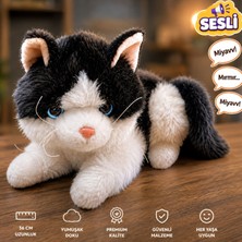 Fidan Oyuncak Premium Sesli Peluş Kedi 36 cm – Gerçekçi Miyavlayan ve Mırıldanan Hipoalerjenik Uyku ve Oyun Arkadaşı Oyuncak