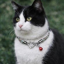 St. Morritz Kedi Tasması Taşlı Pırlantalı Kedi Kolyesi Şık Kedi Tasması