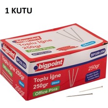 Bigpoint Toplu Iğne 250 Gram