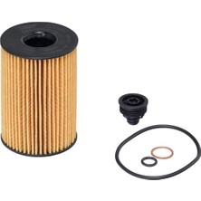 HENGST Dpmix-Hb Yag Filtresi Bmw N63 N74 F07 F10 F11 G30 F06 F12 F13 F01 G11 G12 G14 E70 F15 G05 E71 E72 F16 G06 G07