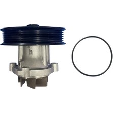 Nextpart NP-540006 Devirdaim Su Pompası