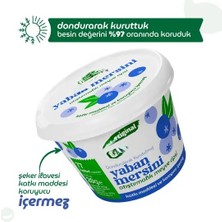 NW NessiWorld Original Yaban Mersini Atıştırmalık Meyve Cipsi 20GR