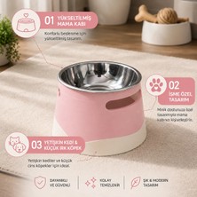 Basart İsime Özel Yükseltilmiş Köpek Mama Kabı | Kaymaz Taban, Paslanmaz Çelik Hazne, Ergonomik Tasarım