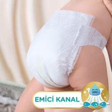 NW NessiWorld Care Fırsat Paketi 6 Beden 62 Adet