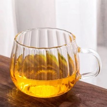 Dilay Home 400 ml Çift Çidarlı Kulplu Şık Desenli Cam Bardak