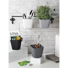 St. Morritz Fix Askılı Banyo,mutfak Çok Amaçlı Düzenleyici (4 Adet)