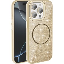 Royal Case iPhone 15 Pro Max Kılıf Parlak Sim Tasarımlı Şık Kamera Yükseltili Magsafe Kapak Ryc/okso