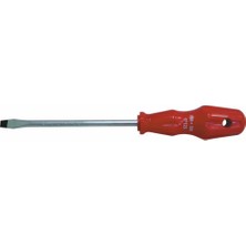 Pro-Scr 02615 Düz Uçlu Tornida 5X100 mm