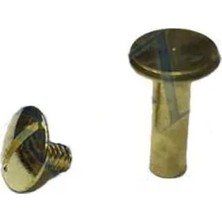 Elivora Cilt Menü, Katg, Kartela Vidası, 13MM - Sarı, 1 Adet