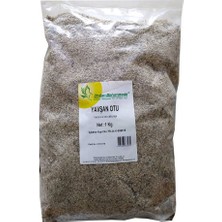 Elivora Doğal Yşan Otu 1000 gr Paket