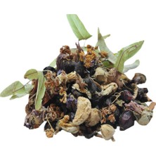 Elivora Sel Karışık Osmanlı Çayı Kış Çayı 50 gr Paket