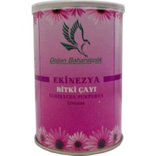 Elivora Ekinezya Çayı Doğal 50 gr Teneke Kutu