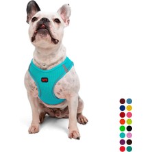 1001 Air-Mesh Küçük ve Orta Irk Kedi Köpek Göğüs Tasması - Yumuşak, Nefes Alabilir, Dayanıklı
