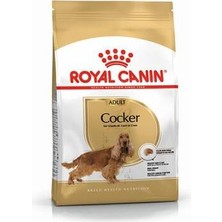 Bezos Cocker Spaniel Adult Yetişkin Köpek Maması 3 kg