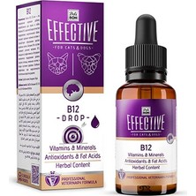 Delibon Effective Kedi ve Köpek Için B12 Desteği Damlası 50 ml