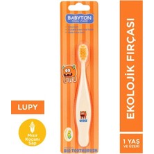 Babyton Bio Diş Fırçası Lupy