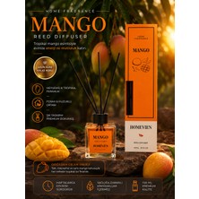 Homevien Homevıen Oda Kokusu 100 ml Apple Mango